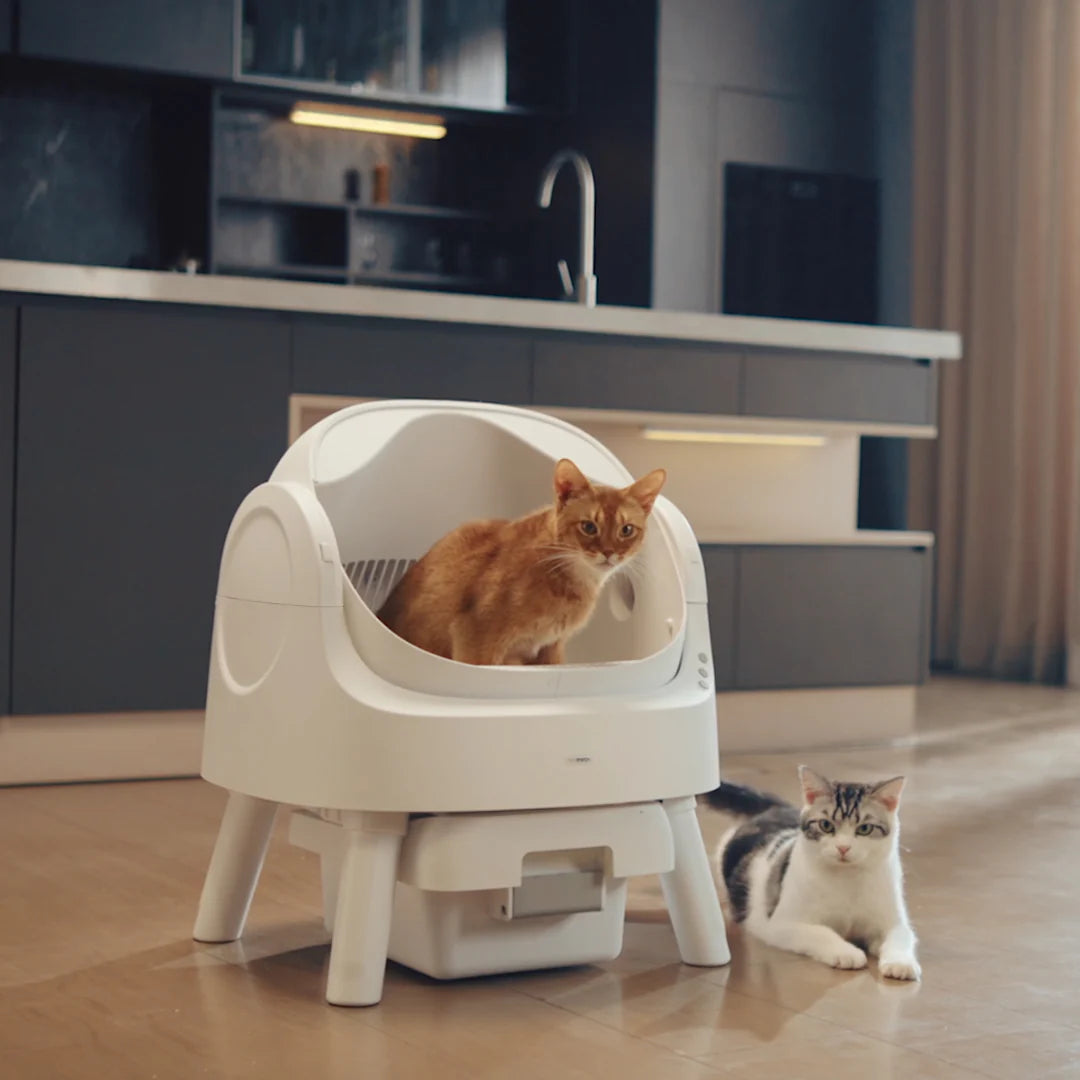 Self Cleaning Autoscoop Litterbox - Kitten Clean Pro