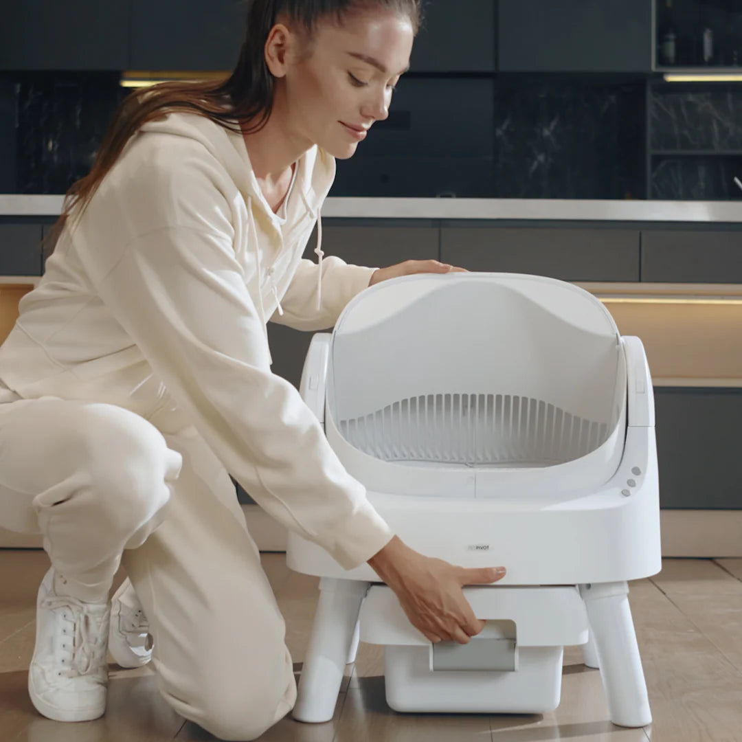 Self Cleaning Autoscoop Litterbox - Kitten Clean Pro