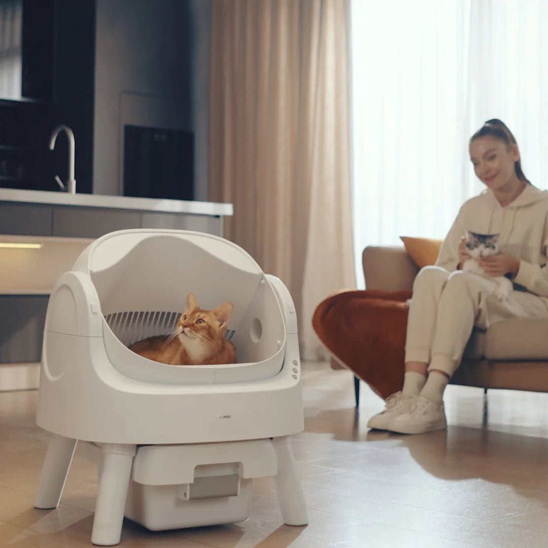 Self Cleaning Autoscoop Litterbox - Kitten Clean Pro
