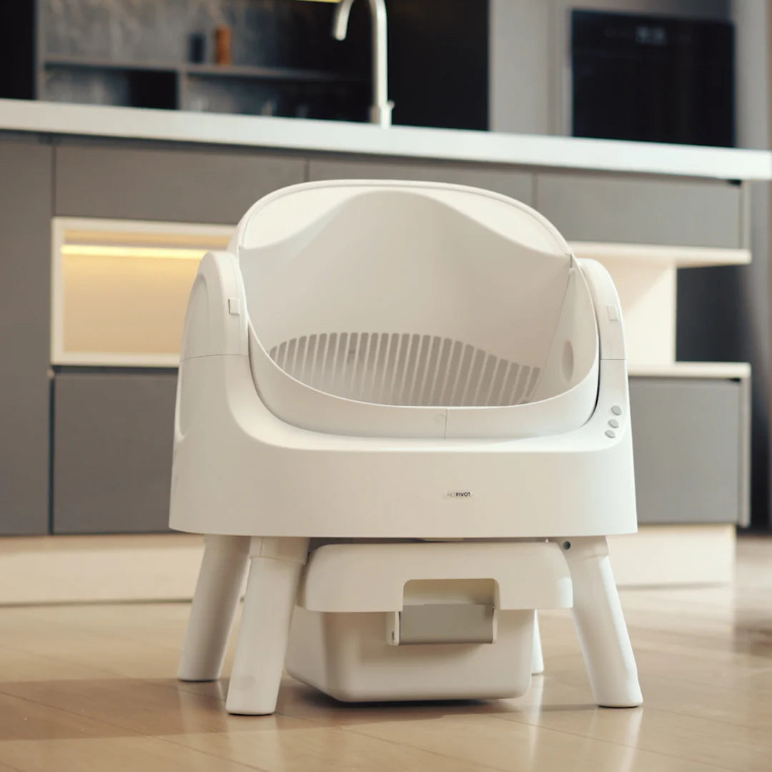 Self Cleaning Autoscoop Litterbox - Kitten Clean Pro