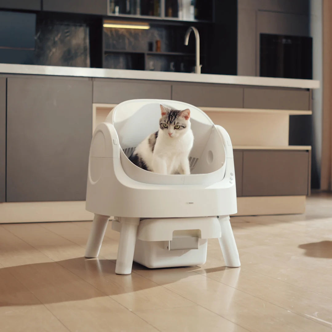 Self Cleaning Autoscoop Litterbox - Kitten Clean Pro