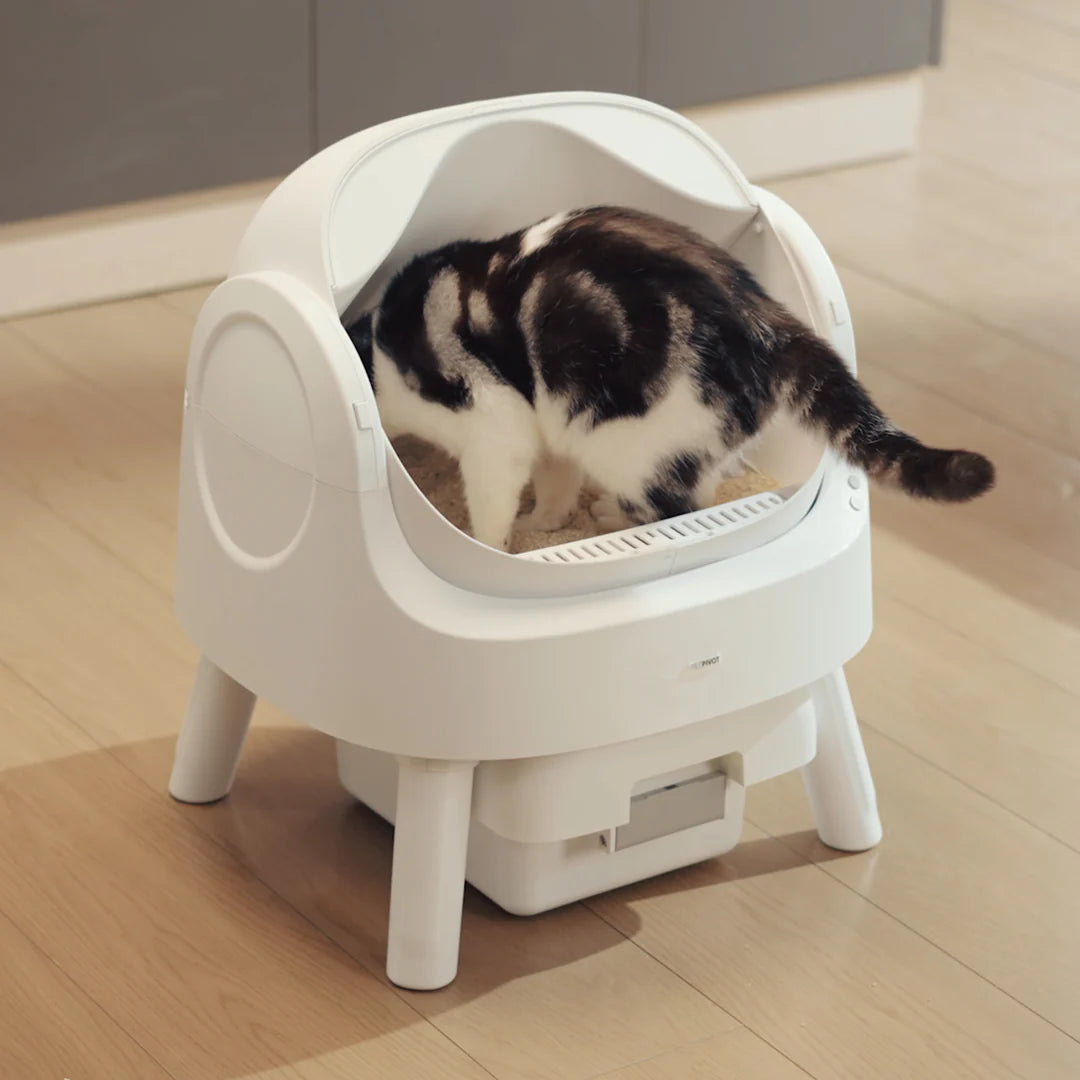 Self Cleaning Autoscoop Litterbox - Kitten Clean Pro