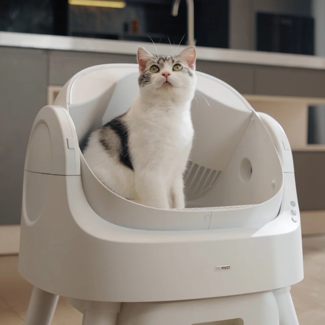Self Cleaning Autoscoop Litterbox - Kitten Clean Pro